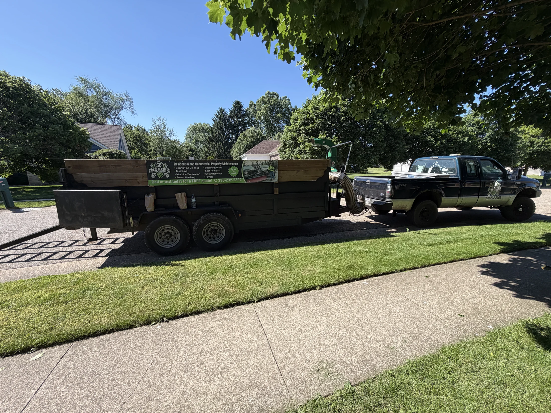 Leaf Removal